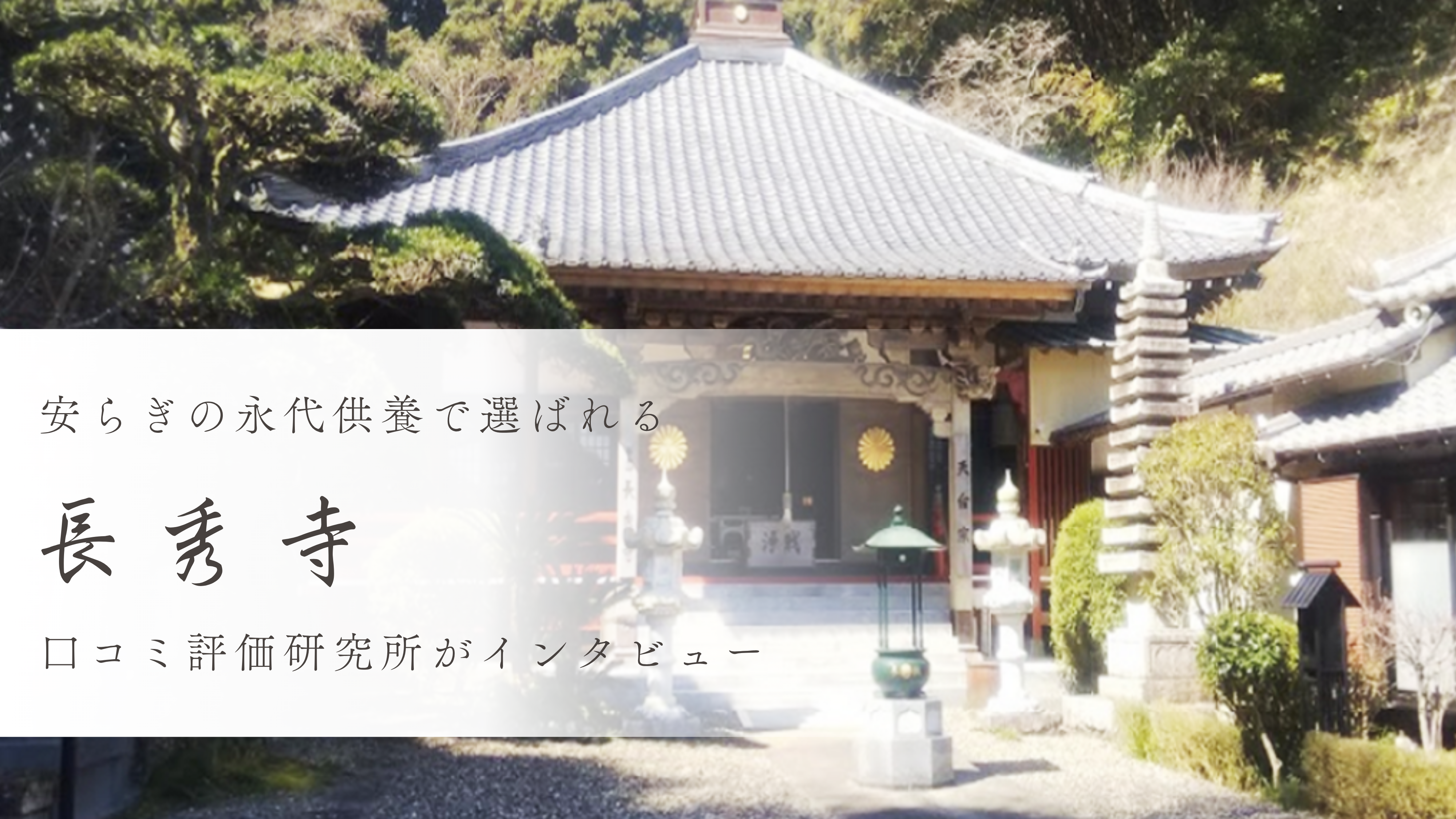 ranking-photo
