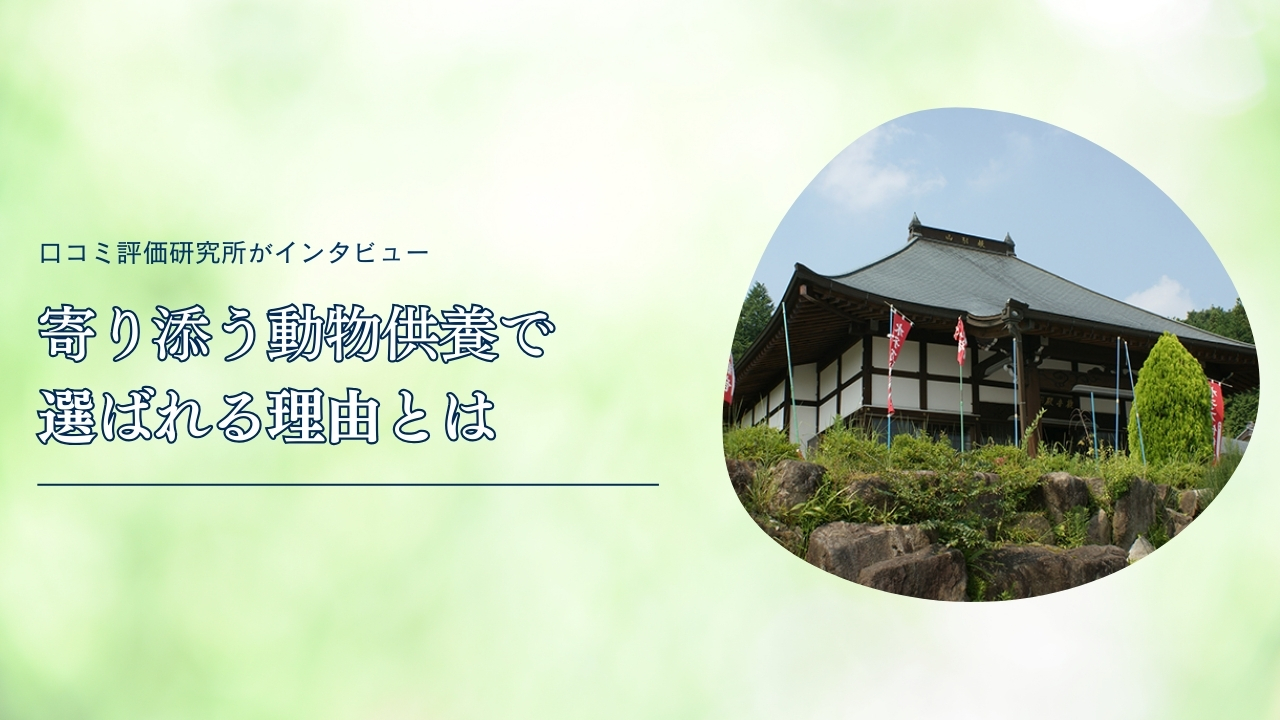 ranking-photo